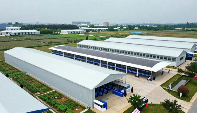 数据驱动决策：企业如何应对复杂市场环境