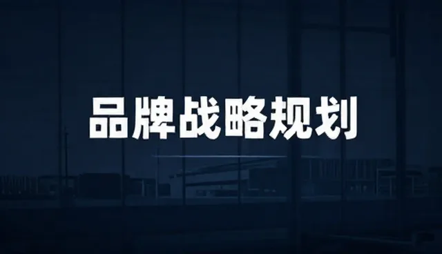 管理咨询项目适用条件与选型建议